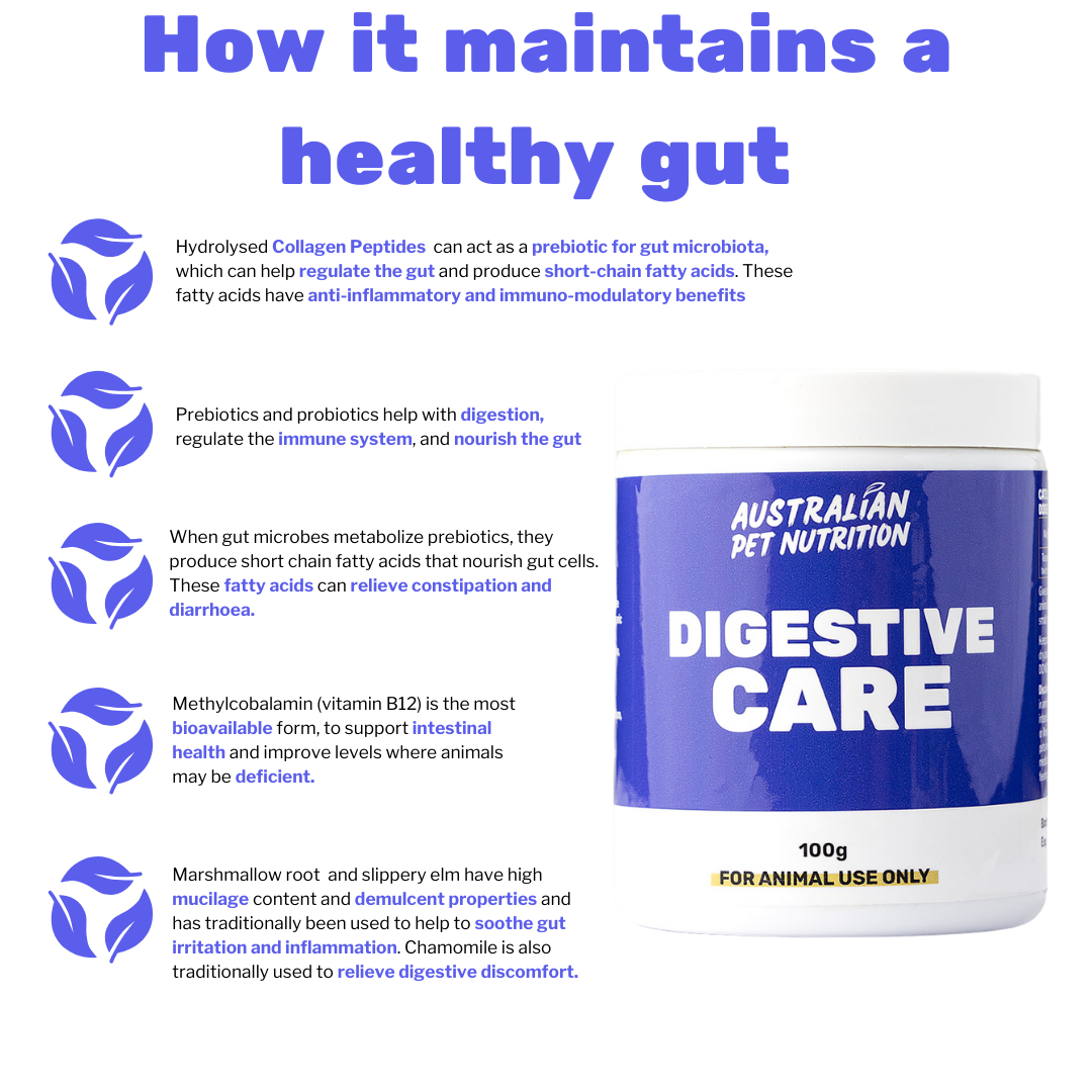 Digestive Care 100g