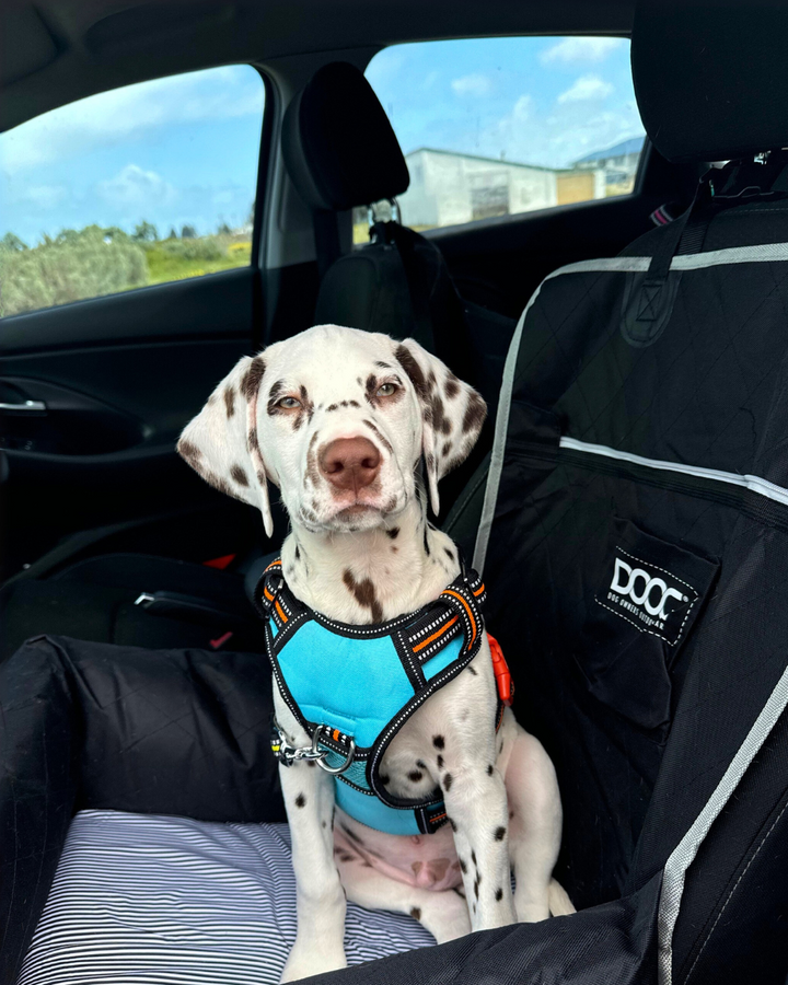 DOOG Neotech Dog Harness