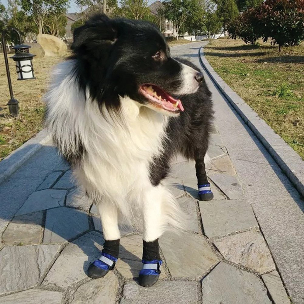 Zeez Blue Waterproof Non-Slip Pet Boots 4pk