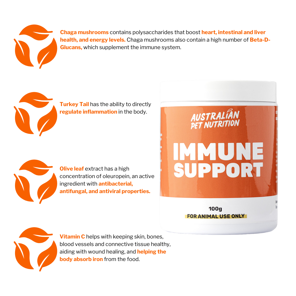 Immune Support 100g