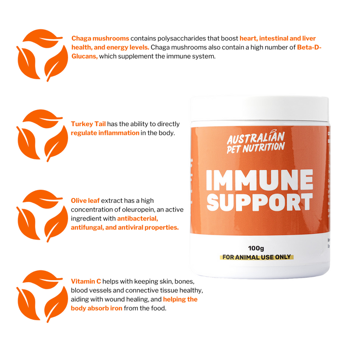 Immune Support 100g