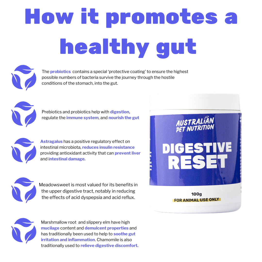 Digestive Reset 100g