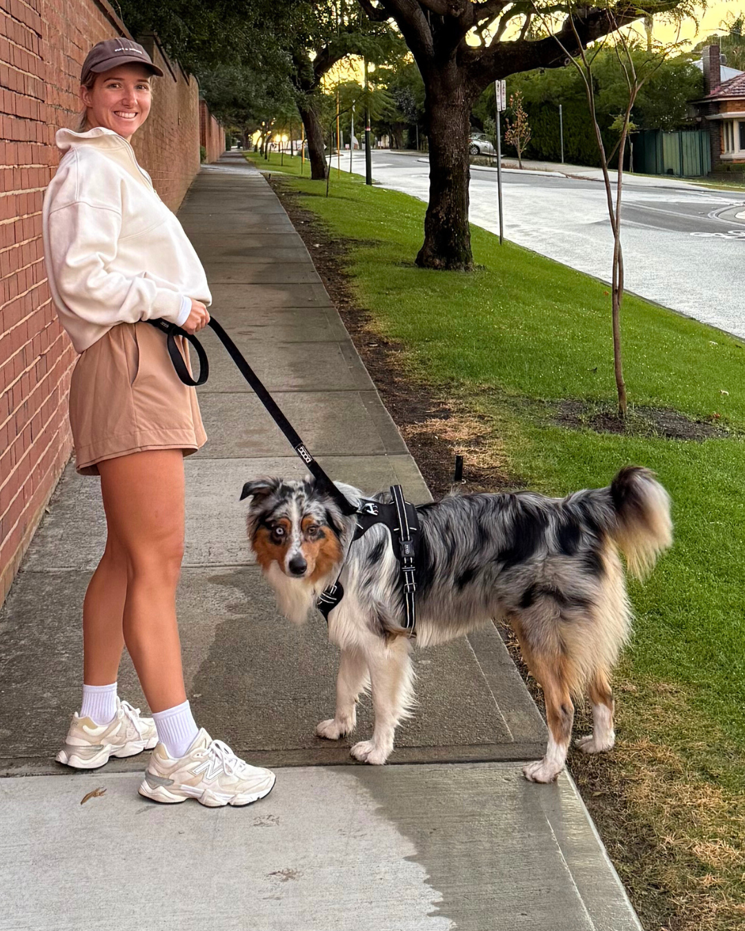 DOOG Neotech Dog Harness