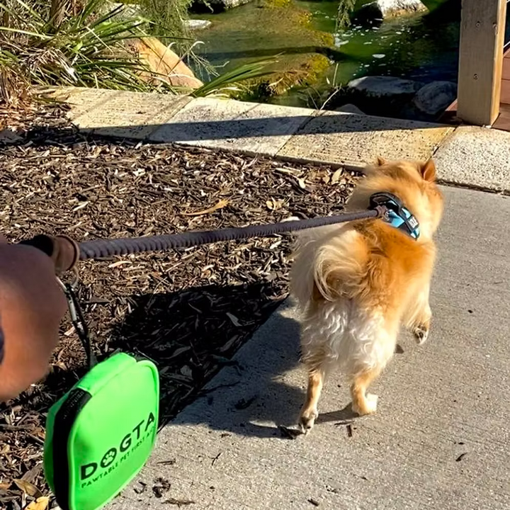 DOGTA Pawtible Pet First Aid Kit