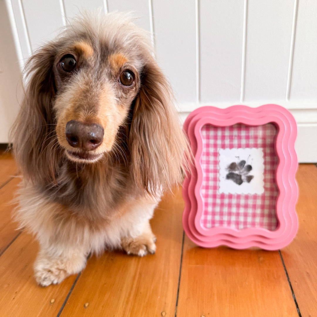 No-Mess Paw Print Kit