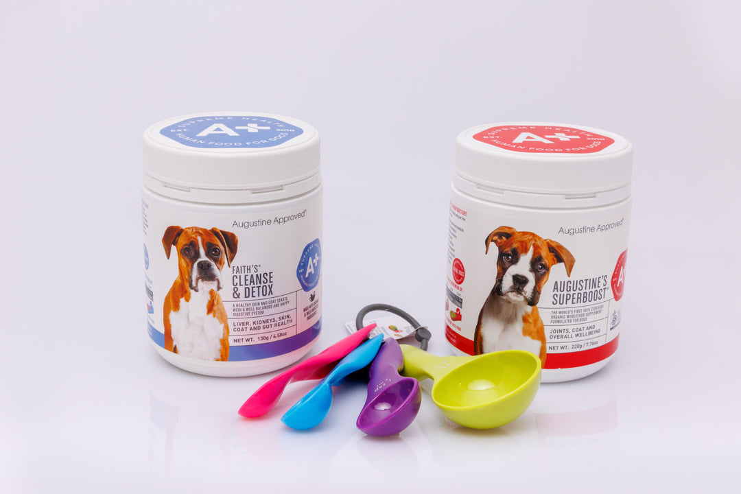 Augustine Approved Bundle - Medium