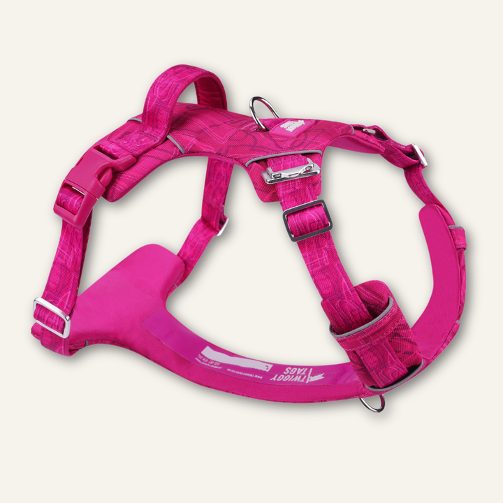 Twiggy Tags Adventure Harness