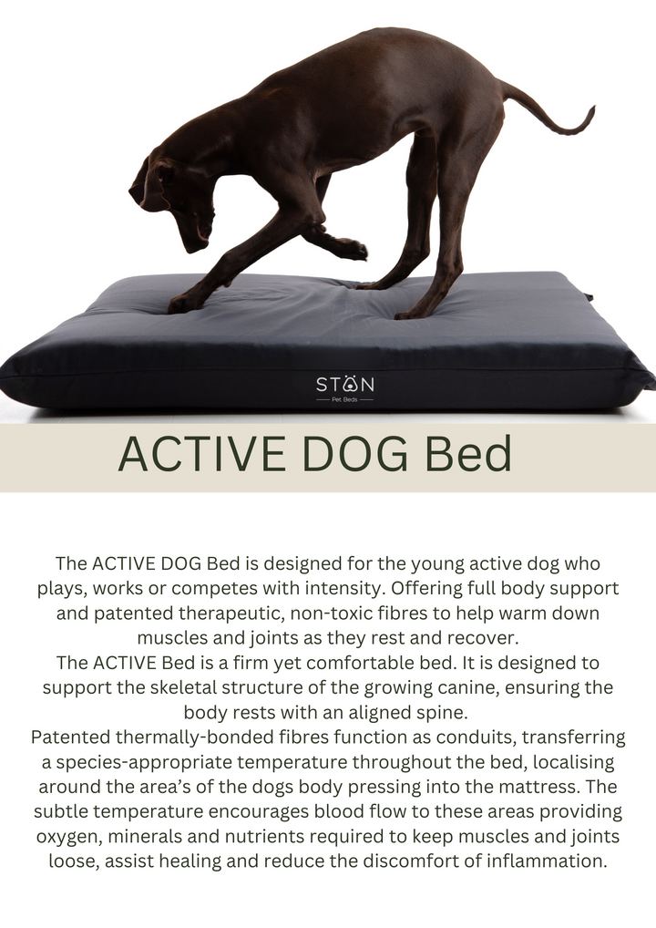 Stan Active Dog Bed