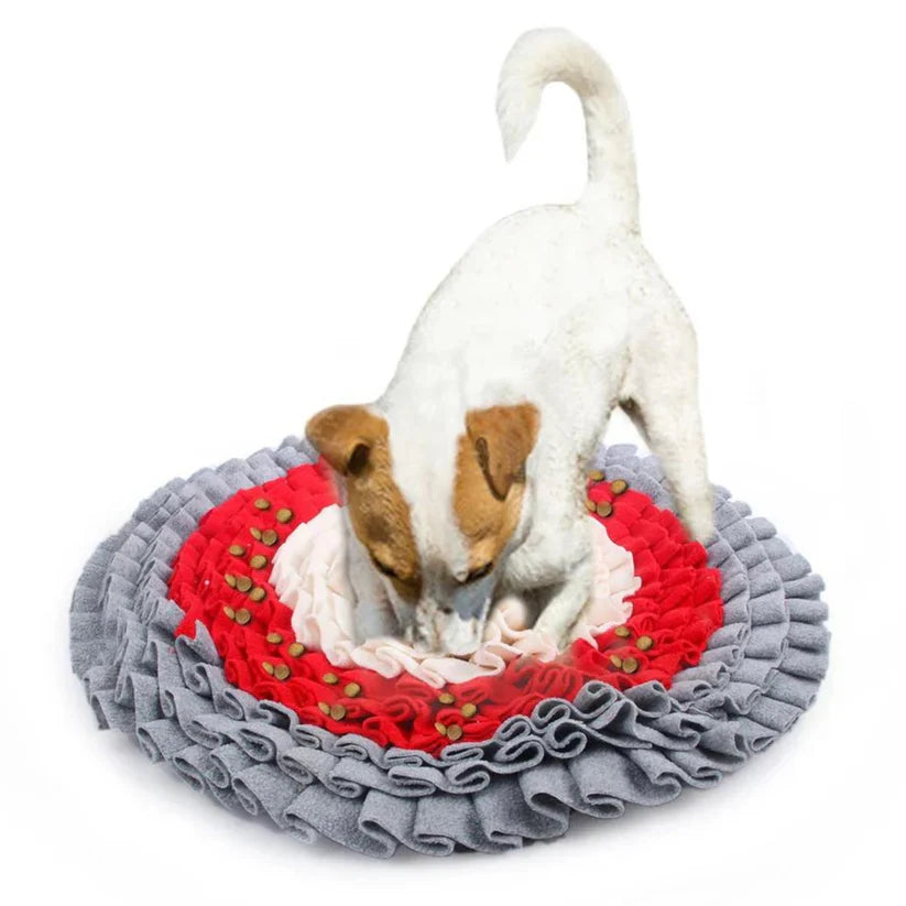 Snuffle Mat