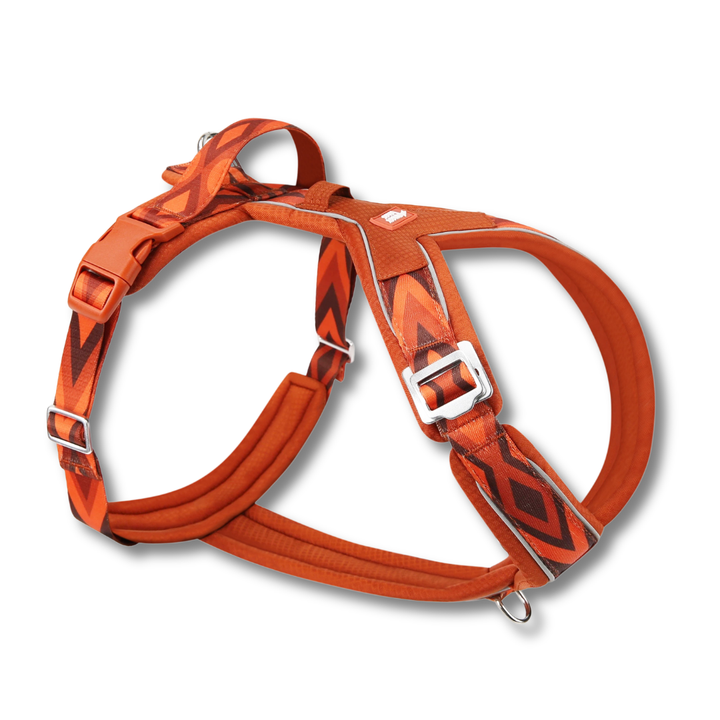 Twiggy Tags Apex Harness