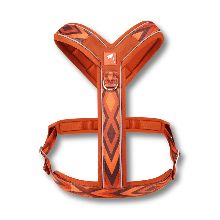Twiggy Tags Apex Harness