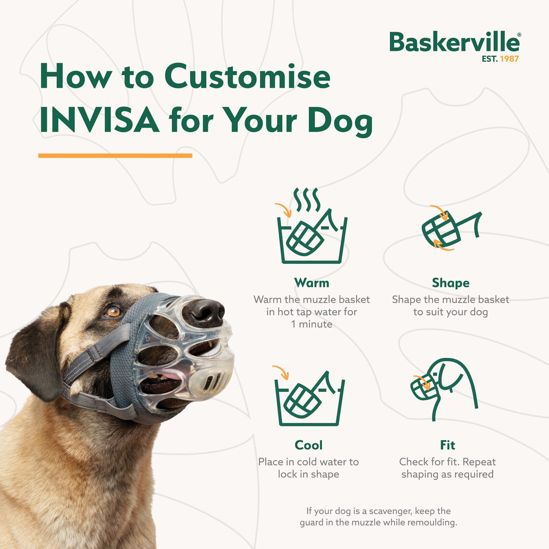 Buskerville Invisa Muzzle