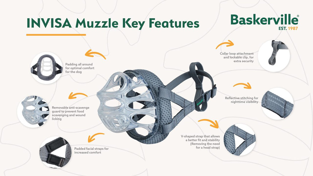 Buskerville Invisa Muzzle