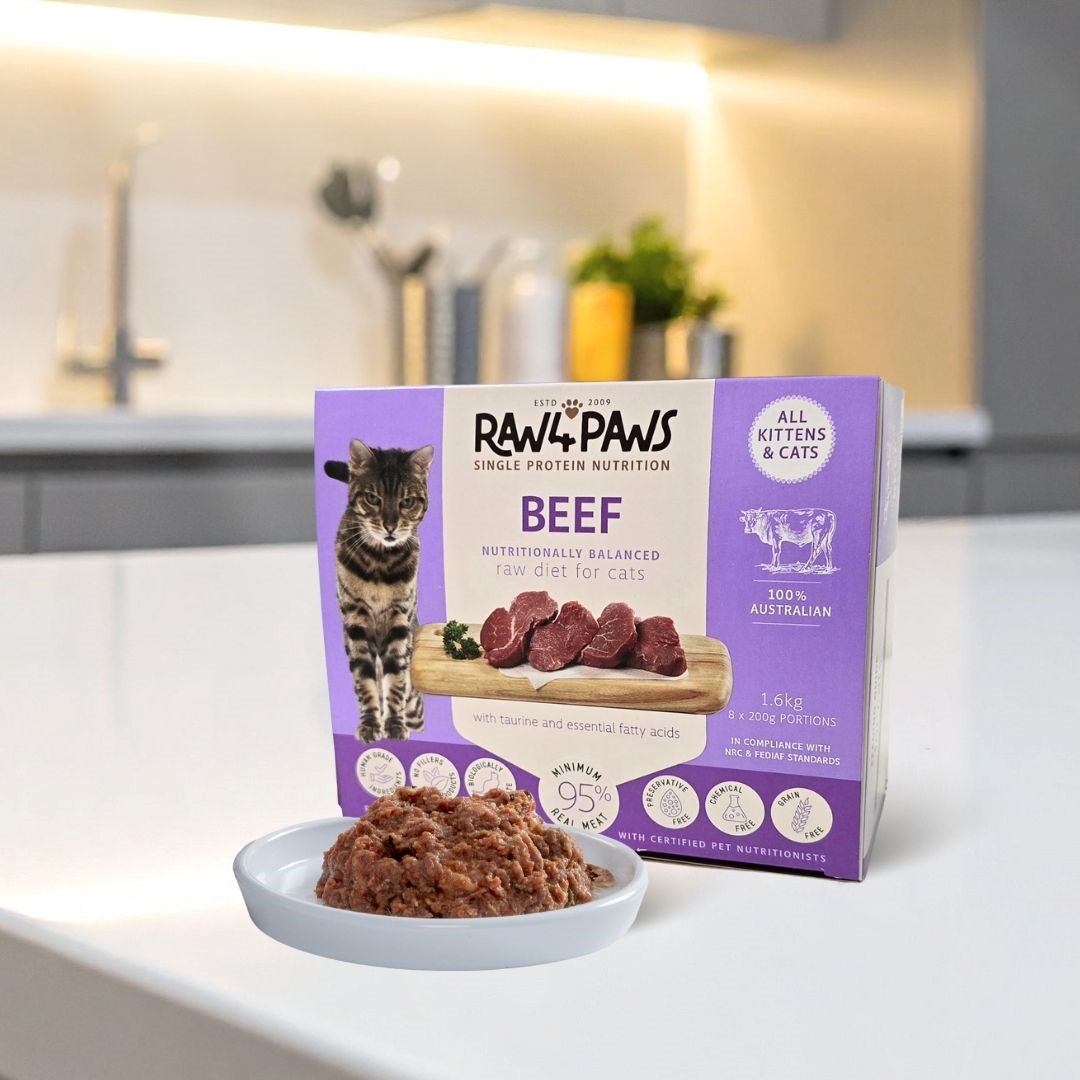 Raw 4 Paws Cat Rolls 1.6kg