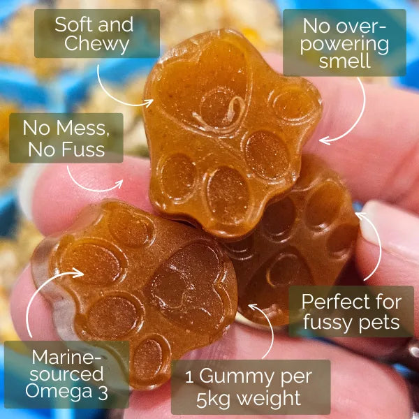 Pet Botanica Omega Gummies for Dogs & Cats Sardine 30pc