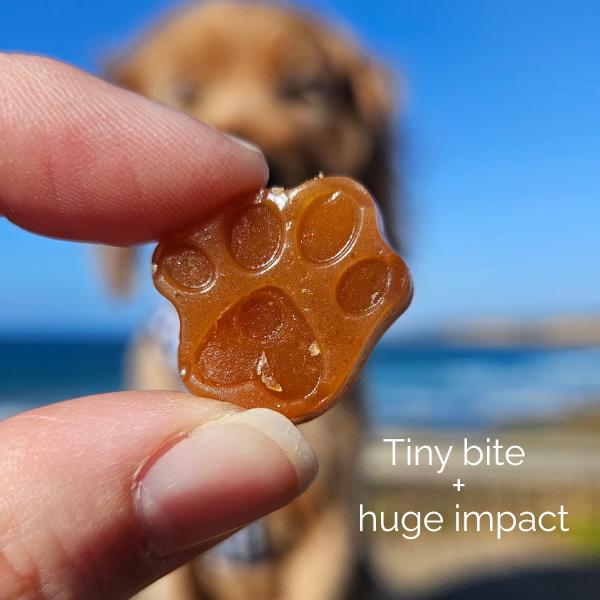 Pet Botanica Omega Gummies for Dogs & Cats Sardine 30pc