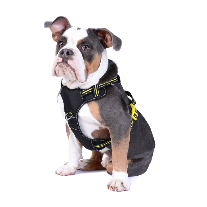 DOOG Neotech Dog Harness