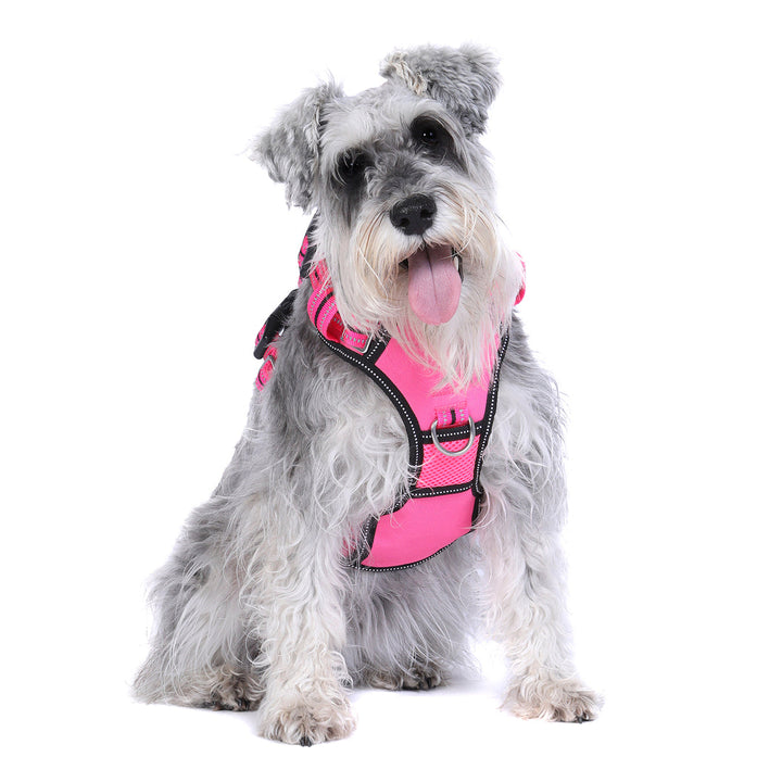 DOOG Neotech Dog Harness