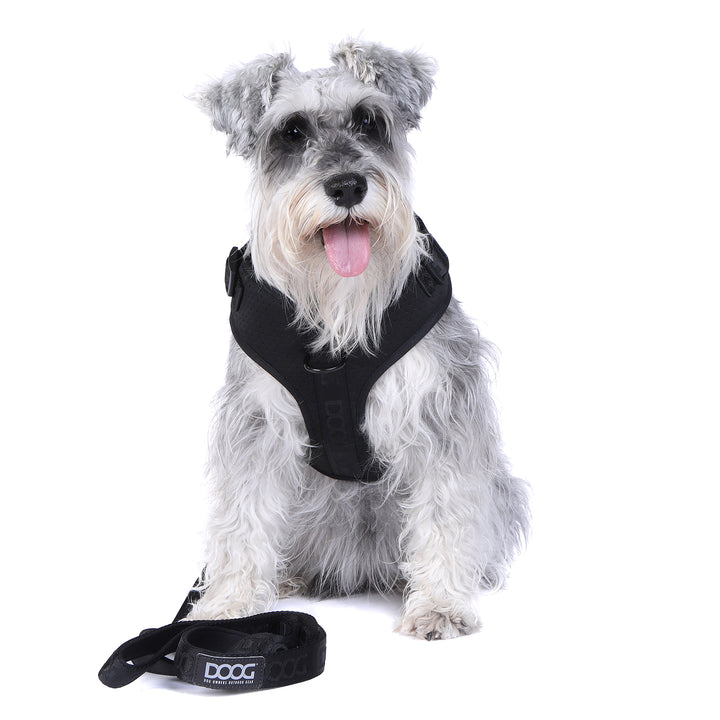 DOOG Neosport Dog Harness