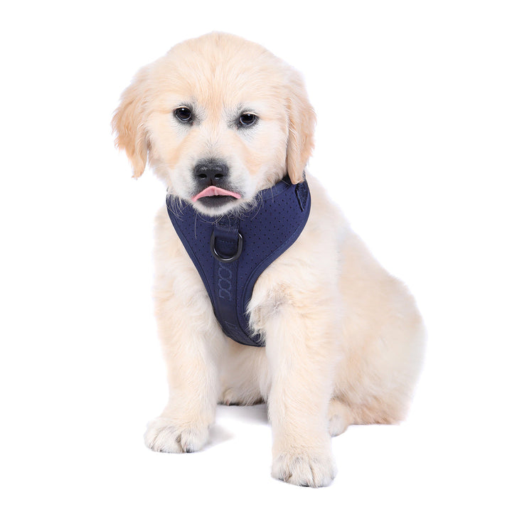 DOOG Neosport Dog Harness