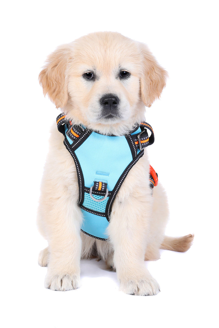 DOOG Neotech Dog Harness