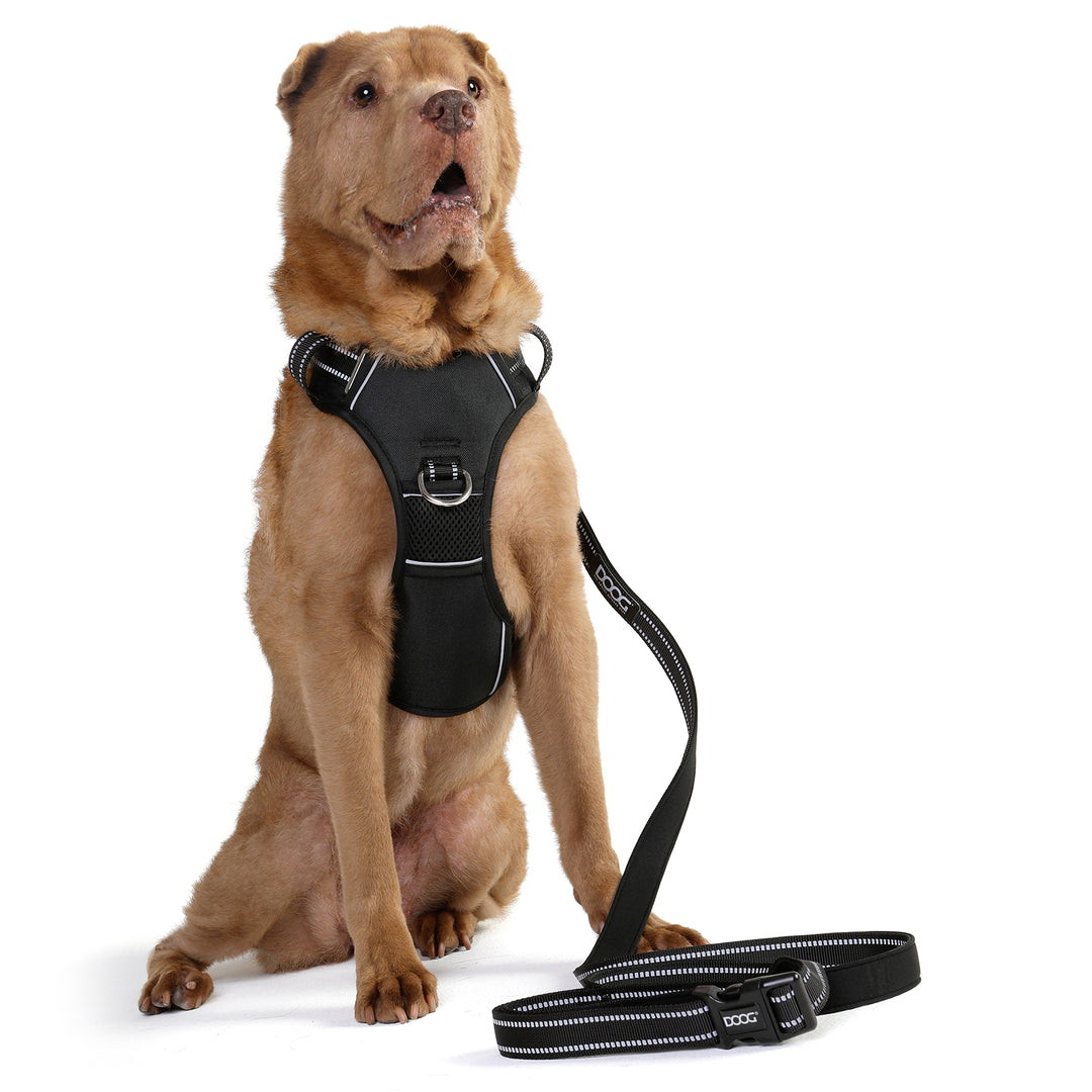 DOOG Neotech Dog Harness
