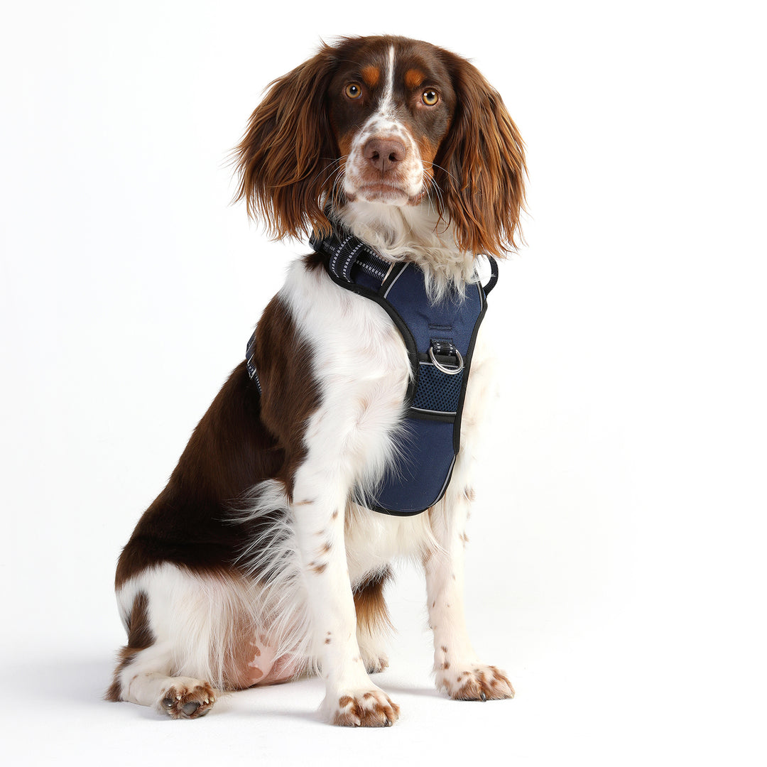 DOOG Neotech Dog Harness