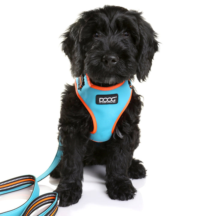 DOOG Neotech Dog Harness