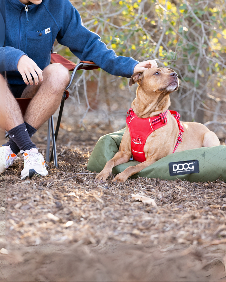 DOOG Neotech Dog Harness