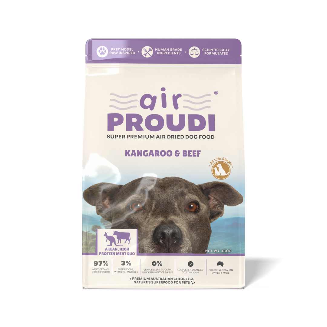 Air Proudi Dog