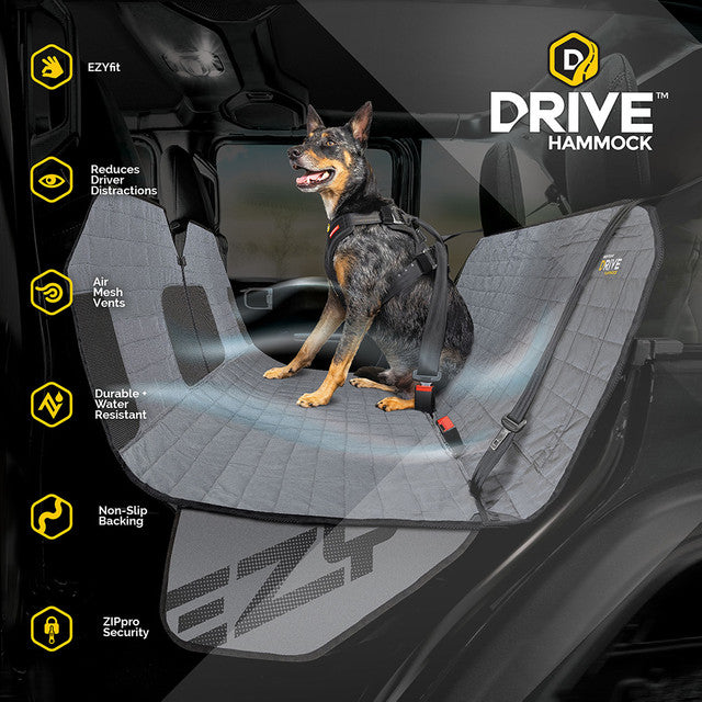 Pimp My Ride - 2 Dogs Bundle