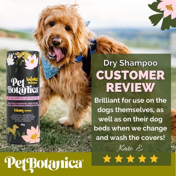 Pet Botanica Dry Shampoo for Dogs Calming Aroma 65g