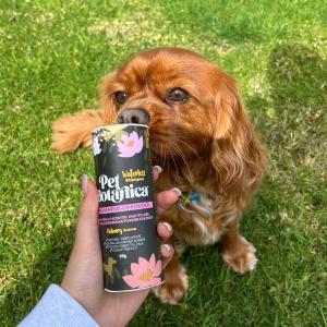 Pet Botanica Dry Shampoo for Dogs Calming Aroma 65g