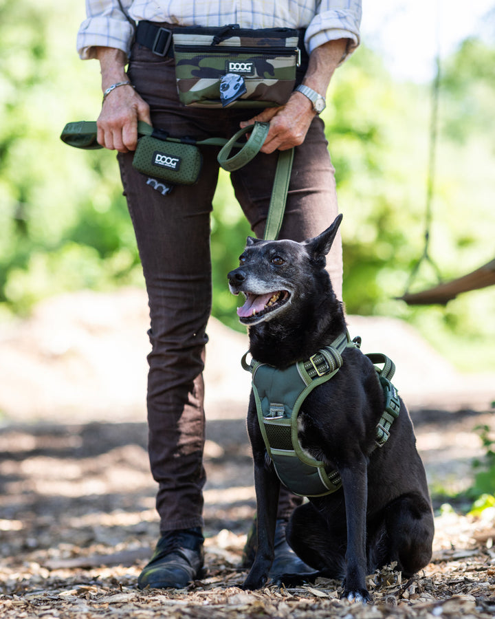 DOOG Neotech Dog Harness