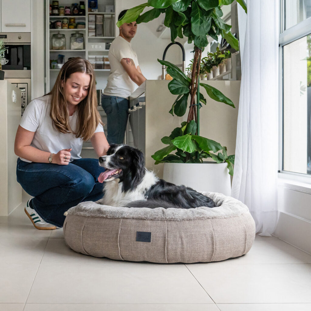 Harley Dog Bed