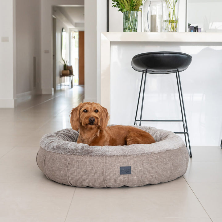 Harley Dog Bed