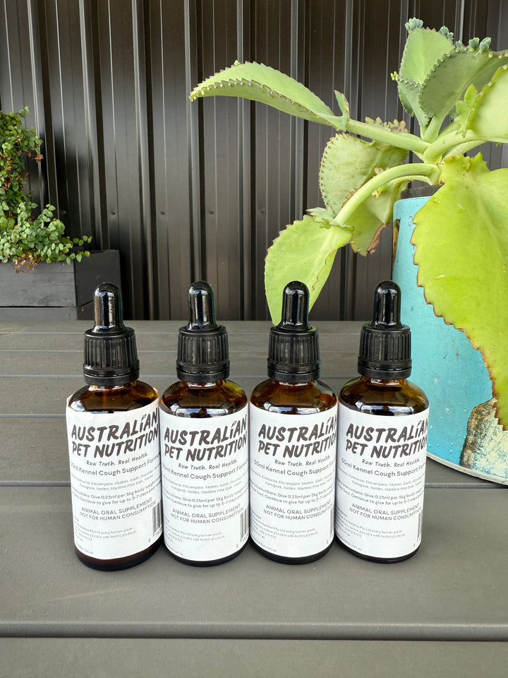 Kennel Cough Support Formula 50ml