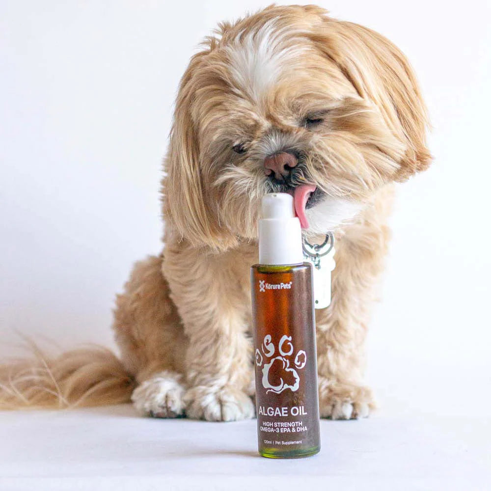 Korure Pets Algae Oil Dog 50ml