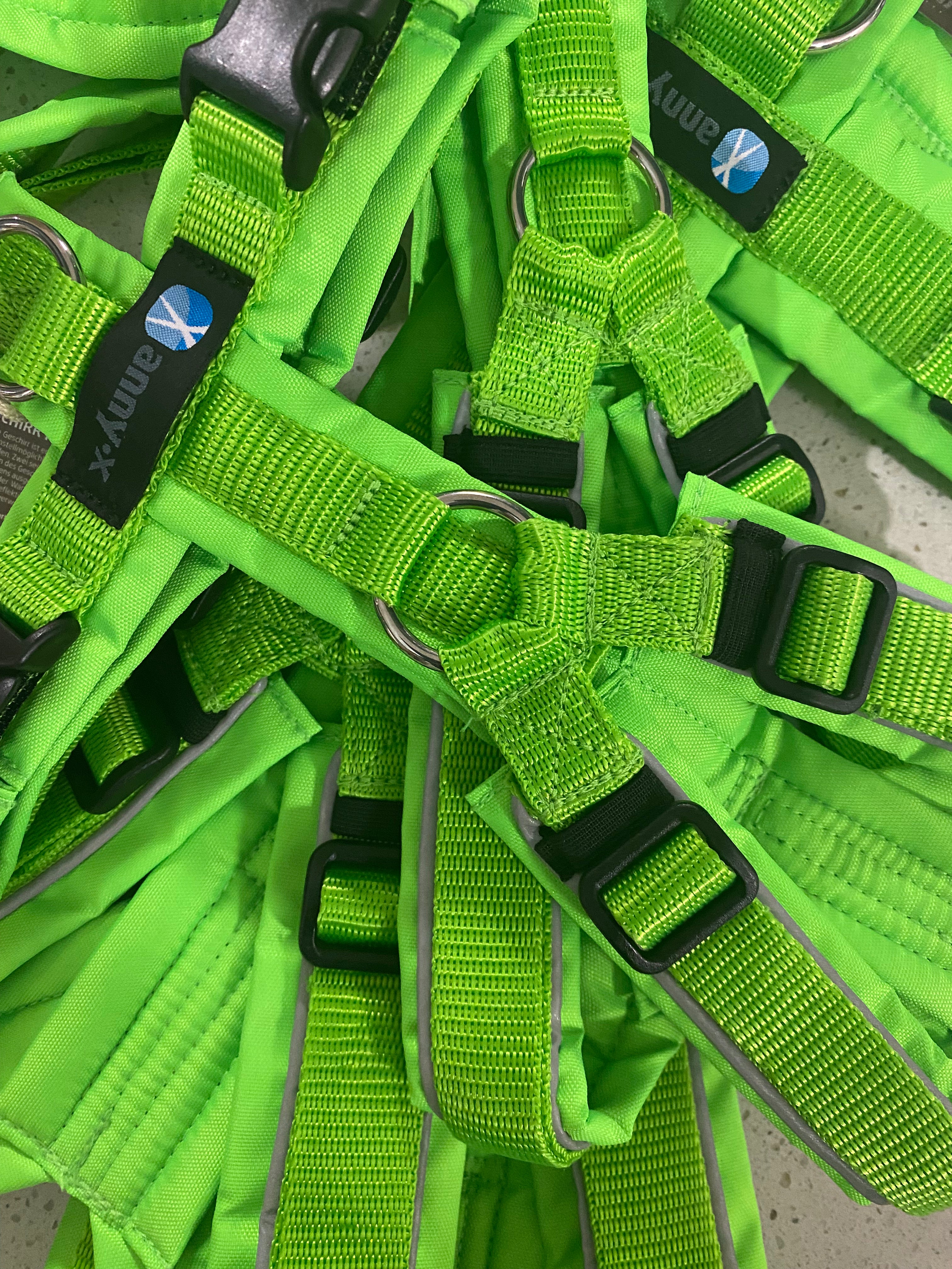 Anny.x Harness Fun