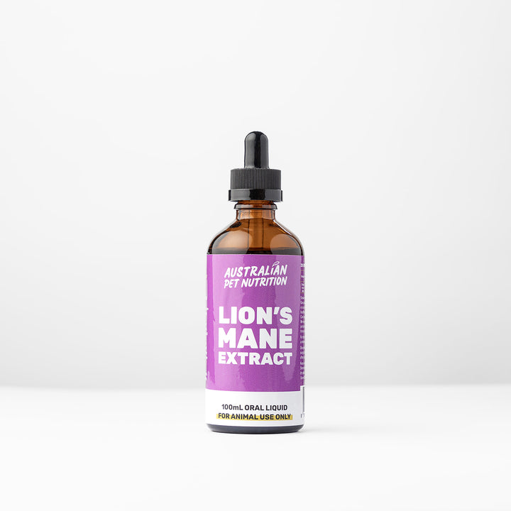 Lion's Mane Extract 100ml