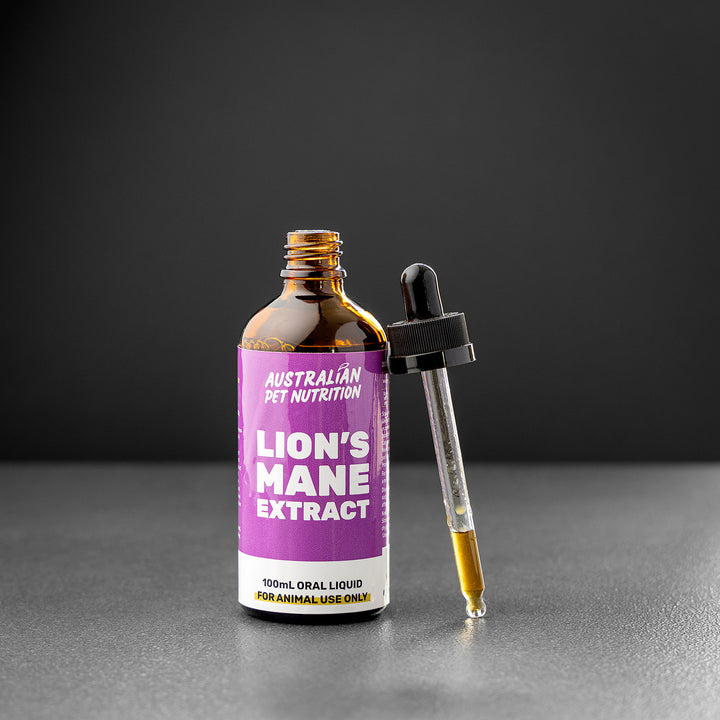 Lion's Mane Extract 100ml