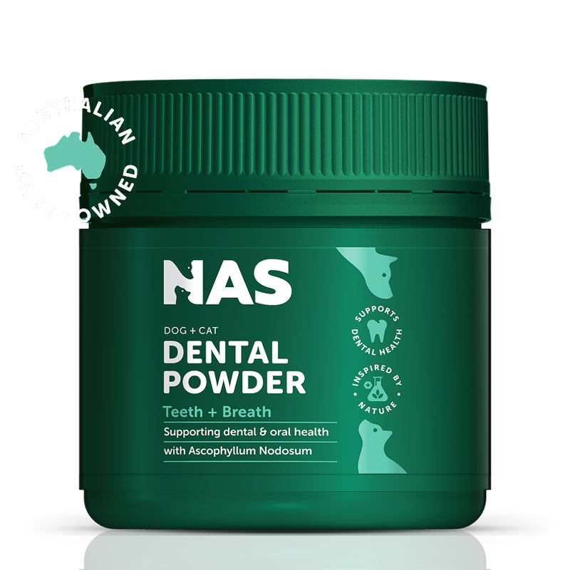 NAS Dental Powder