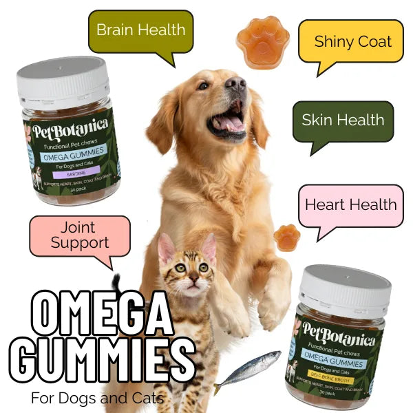 Pet Botanica Omega Gummies for Dogs & Cats Sardine 30pc
