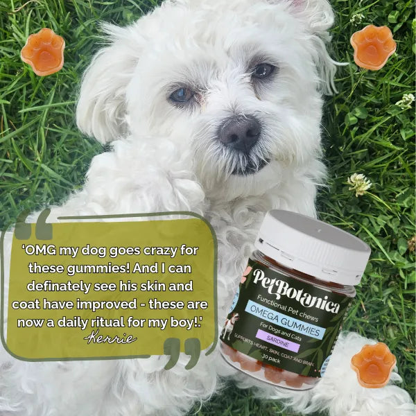Pet Botanica Omega Gummies for Dogs & Cats Sardine 30pc