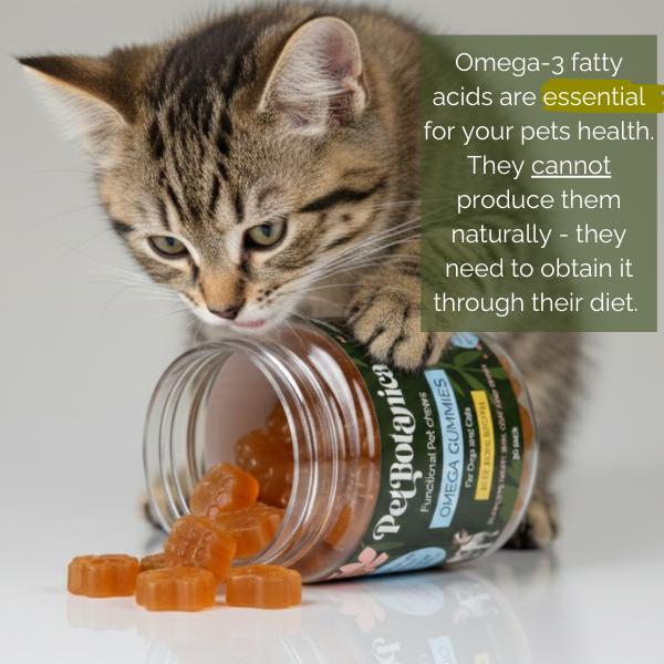 Pet Botanica Omega Gummies for Dogs & Cats Sardine 30pc