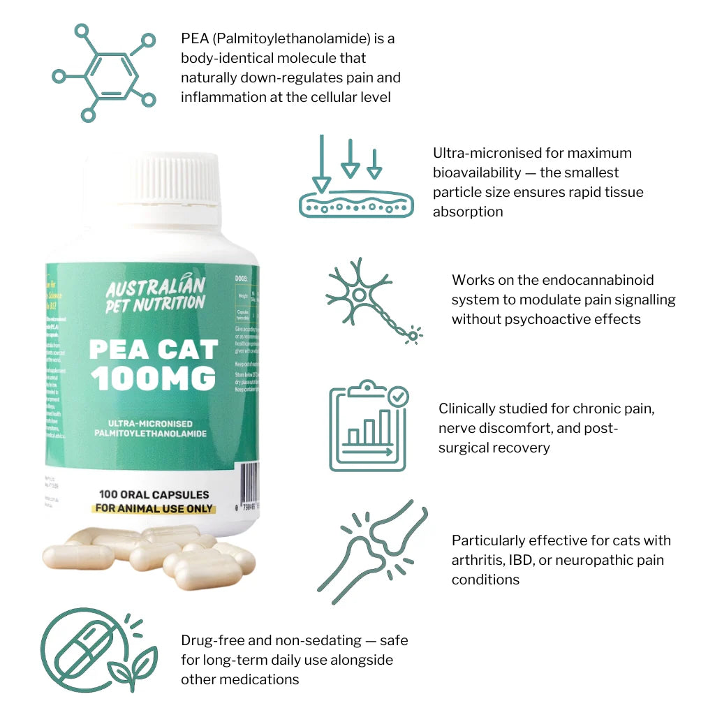 PEA Cat 100mg (100 caps)