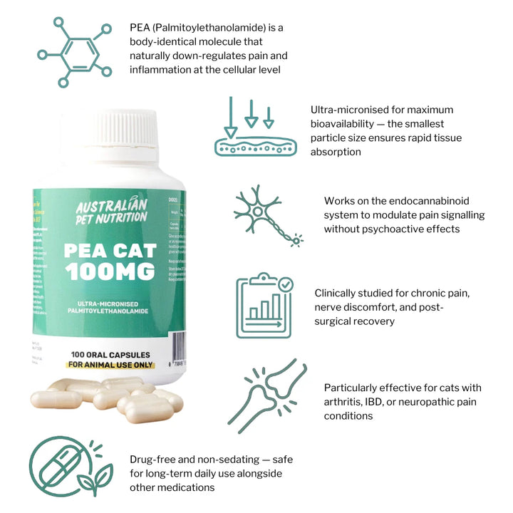 PEA Cat 100mg (100 caps)