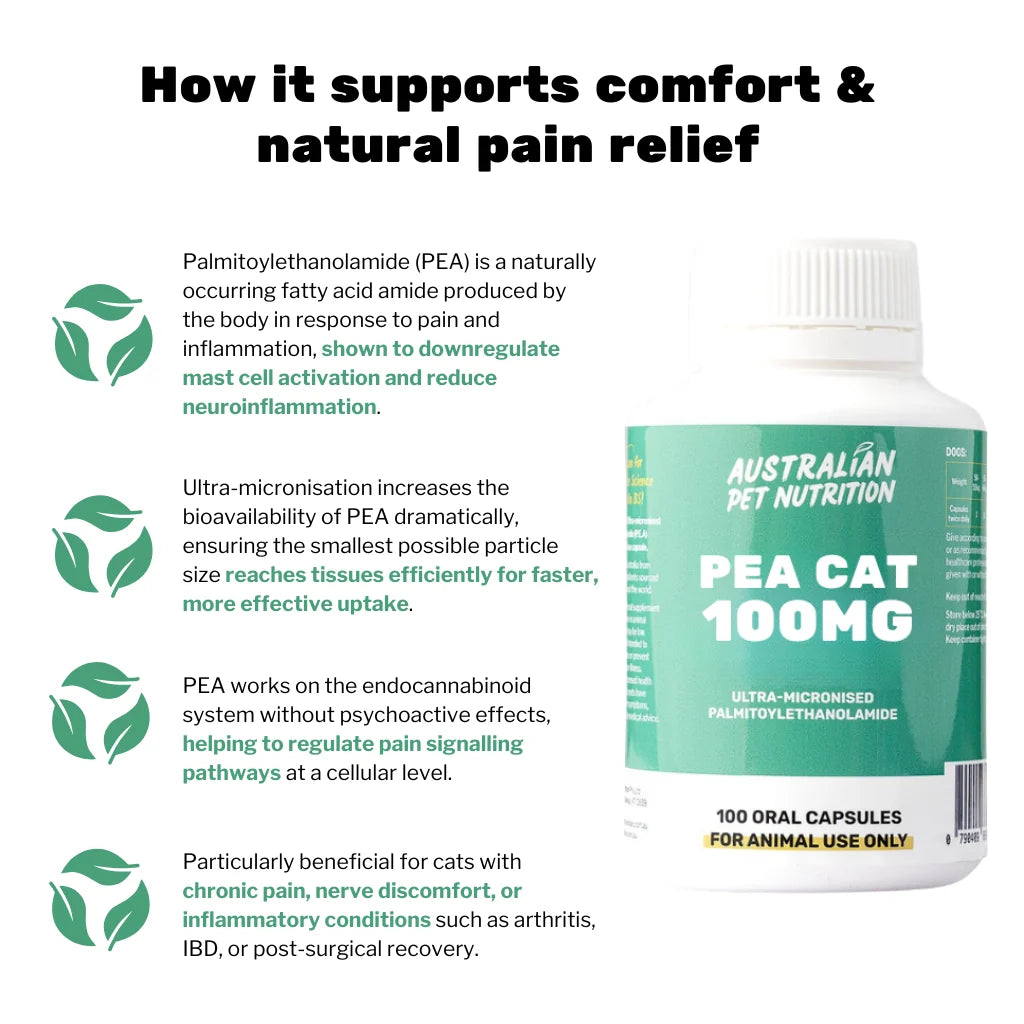 PEA Cat 100mg (100 caps)