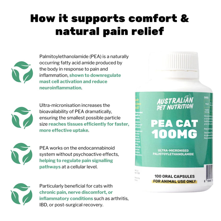 PEA Cat 100mg (100 caps)