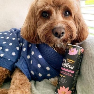 Pet Botanica Dry Shampoo for Dogs Calming Aroma 65g
